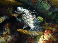 -上海海洋水族馆