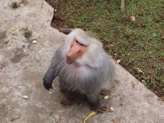 -西安秦岭野生动物园