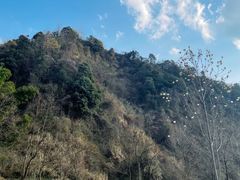 -梅岭月亮湾山体公园