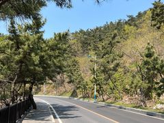 -燕窝岭