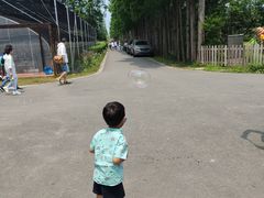 -前小桔亲子创意农场·草莓采摘·露营烧烤