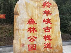 -羚羊峡古栈道森林公园