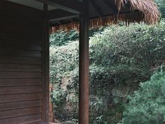 -中国茶叶博物馆(双峰馆区)