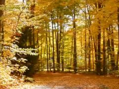 -回龙观体育文化公园