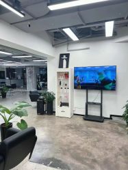 -蚂蚁造型俱乐部