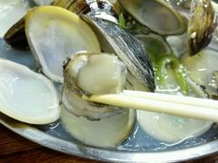 -象角群记(华柏店)