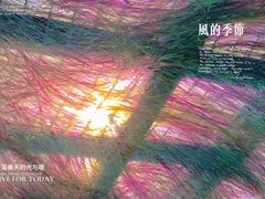 -宁波松兰山滨海旅游度假区