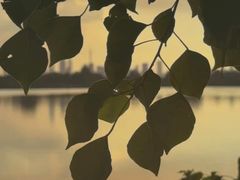 -东湖落雁景区