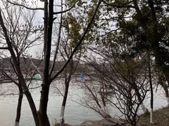 -八大山人梅湖景区