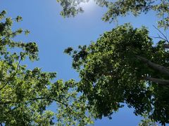 -上海山野camping·户外天幕烧烤·团建拓展营地