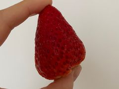 -天和晟烤鸭店(玉泉西街店)