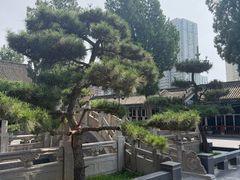 -万寿八仙宫