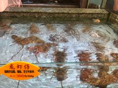 -快乐海鲜城(虎泉街店)