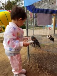 -萌宠亲子动物乐园(槐房万达店)