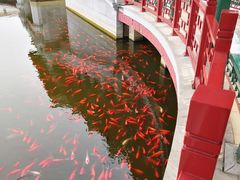 -西海子公园