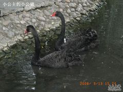 -北京麋鹿生态实验中心