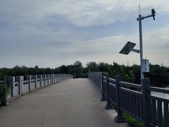 -塘沽森林公园