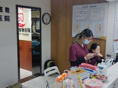 -艾贝尔宠物医院·24H转诊中心·肿瘤猫专科(江宁双龙店)
