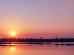 -大兴滨河森林公园