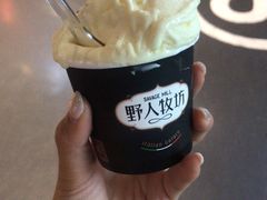 -野人牧坊Gelato(天津南开大悦城店)