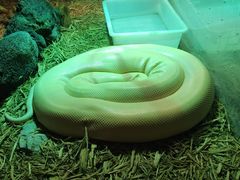 -海合安武汉极地海洋公园