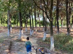 -艾溪湖湿地公园