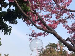-狐尾山公园