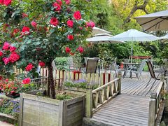 -老洋房花园饭店(绍兴路店)