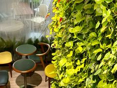 -Peet's Coffee皮爷咖啡(大学路店)