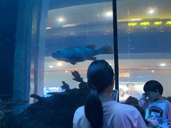 -乐从天佑城海洋馆
