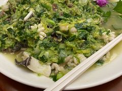 -杨记新泉美食