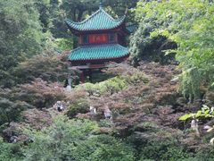 -岳麓山风景名胜区