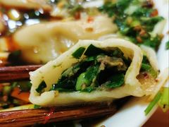 韭菜牛肉-尤素福东举院饺子馆