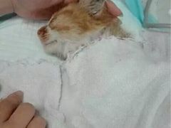 iphone_upload_pic-盛京一禾