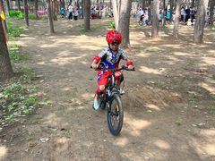 -北京梧桐树双语幼儿园