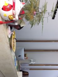 -茶发Salon·烫发染发理发