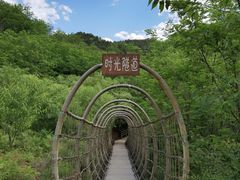 -欢乐松鼠谷