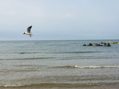 -北戴河东海水浴场
