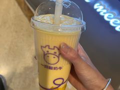 -一只酸奶牛(时代天街A馆店)