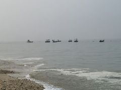 -贝壳沙滩