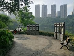 -重庆彩云湖湿地公园