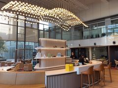 -奔驰上海利星(七宝店)