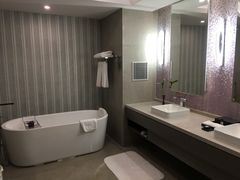 -南京禄口机场雅高铂尔曼大酒店