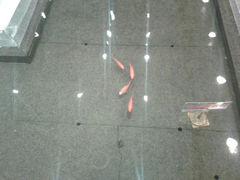 android_upload_pic-豆花酒楼·三十八年匠心(秦皇东大街店)
