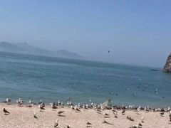 -海驴岛(荣成市)