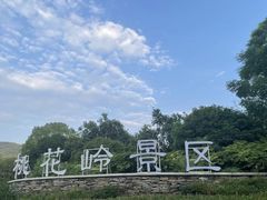 -桃花岭景区