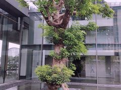 -深圳大梅沙京基洲际度假酒店