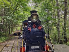 -五营红松林海景区