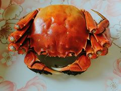 阳澄湖大闸蟹-小陆莲花蟹园农家乐(莲花岛店)