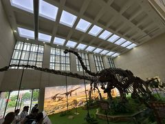 -广西壮族自治区博物馆